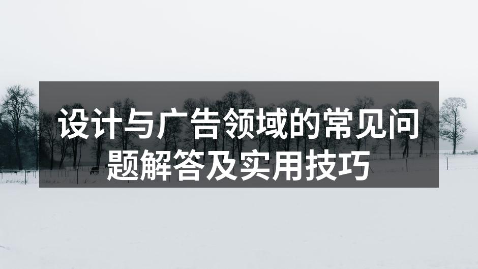 设计风格的多样性
